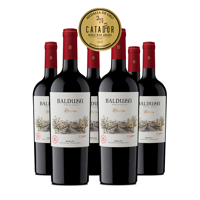 Caja 6 bot. Reserva Merlot