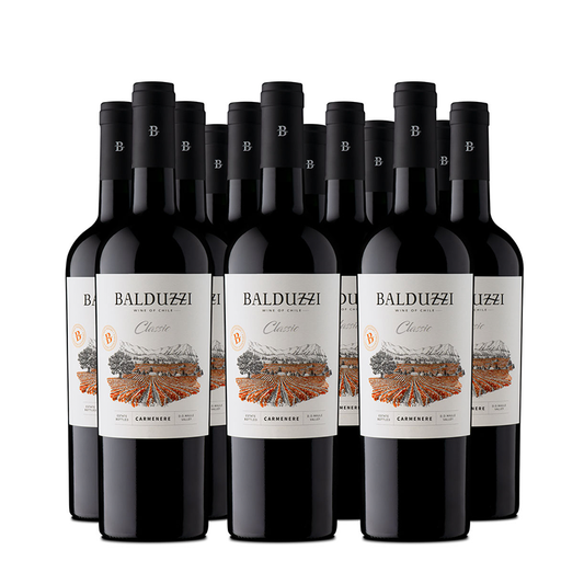 Caja 12 bot. Classic Carmenere