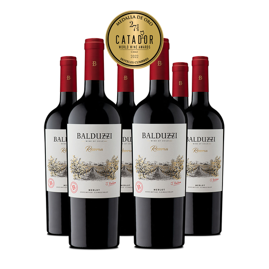 Caja 6 bot. Reserva Merlot