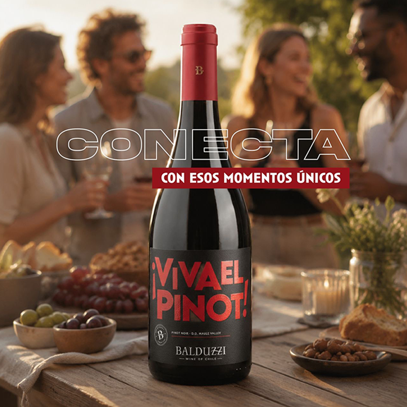 Caja 6 bot. ¡Viva el Pinot!